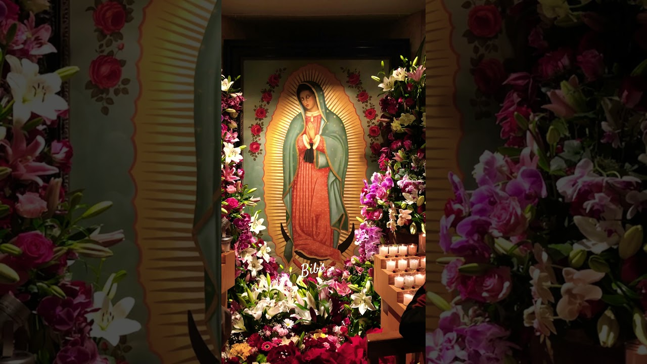 #cat&oacute;licosdelmundo #foryou