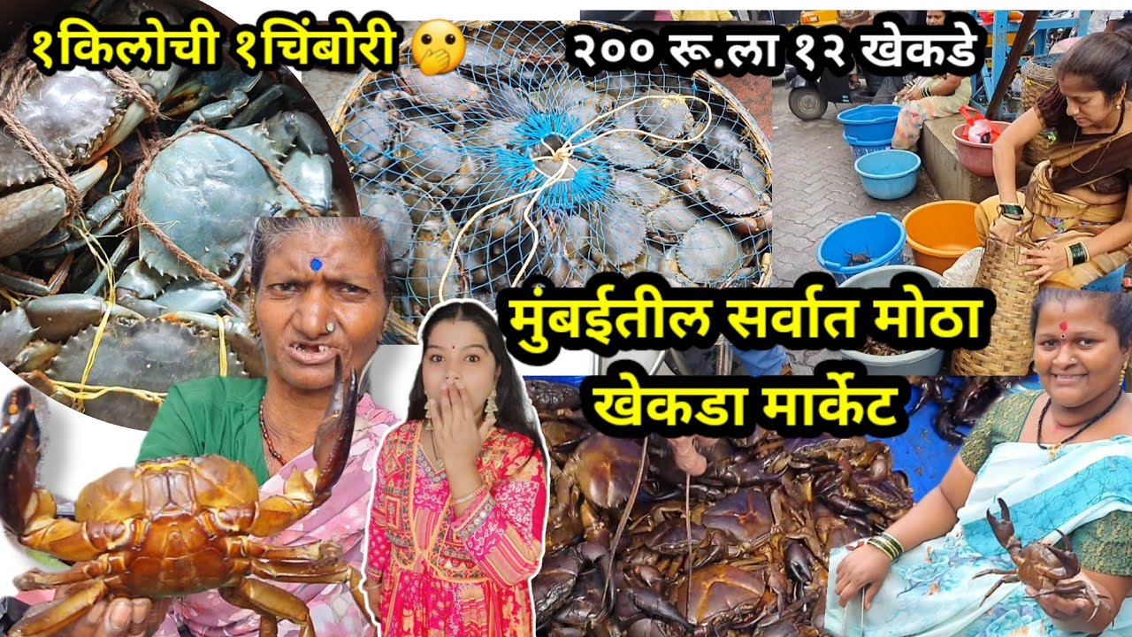 इतकी स्वस्त चिंबोरी 🦀 आणि खेकडे कुठेच मिळणार नाहीत | Kalyan Khekada Market | Crab Market in Mumbai