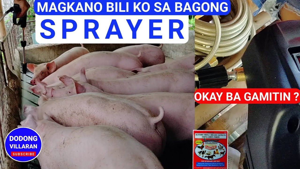 MAGKANO BILI KO SA BAGONG SPRAYER / Dodong Villaran