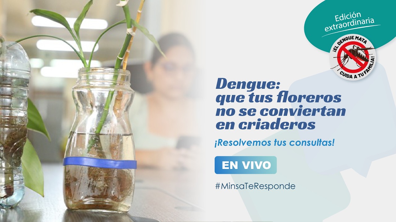 🔴 EN VIVO#MinsaTeResponde| Hablamos sobre dengue para que tus floreros no se conviertan en criaderos