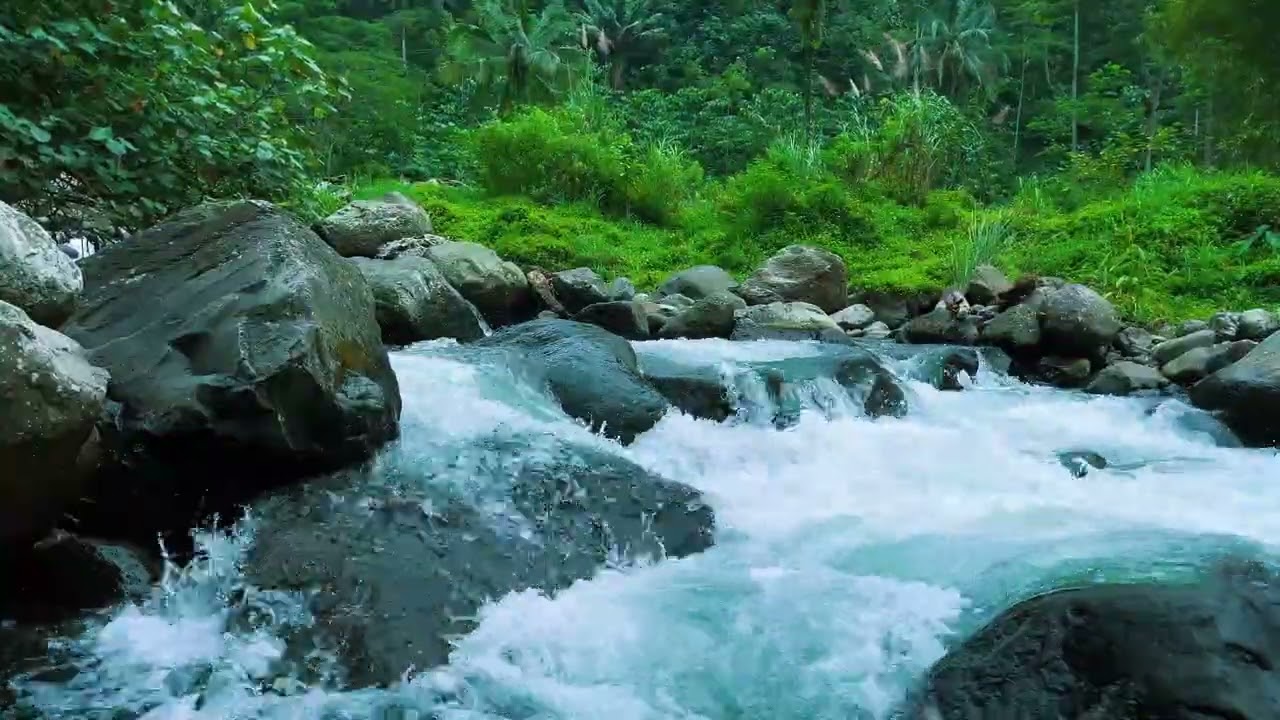 Soothing Stream Sounds | Fall Asleep Fast with Natural White Noise