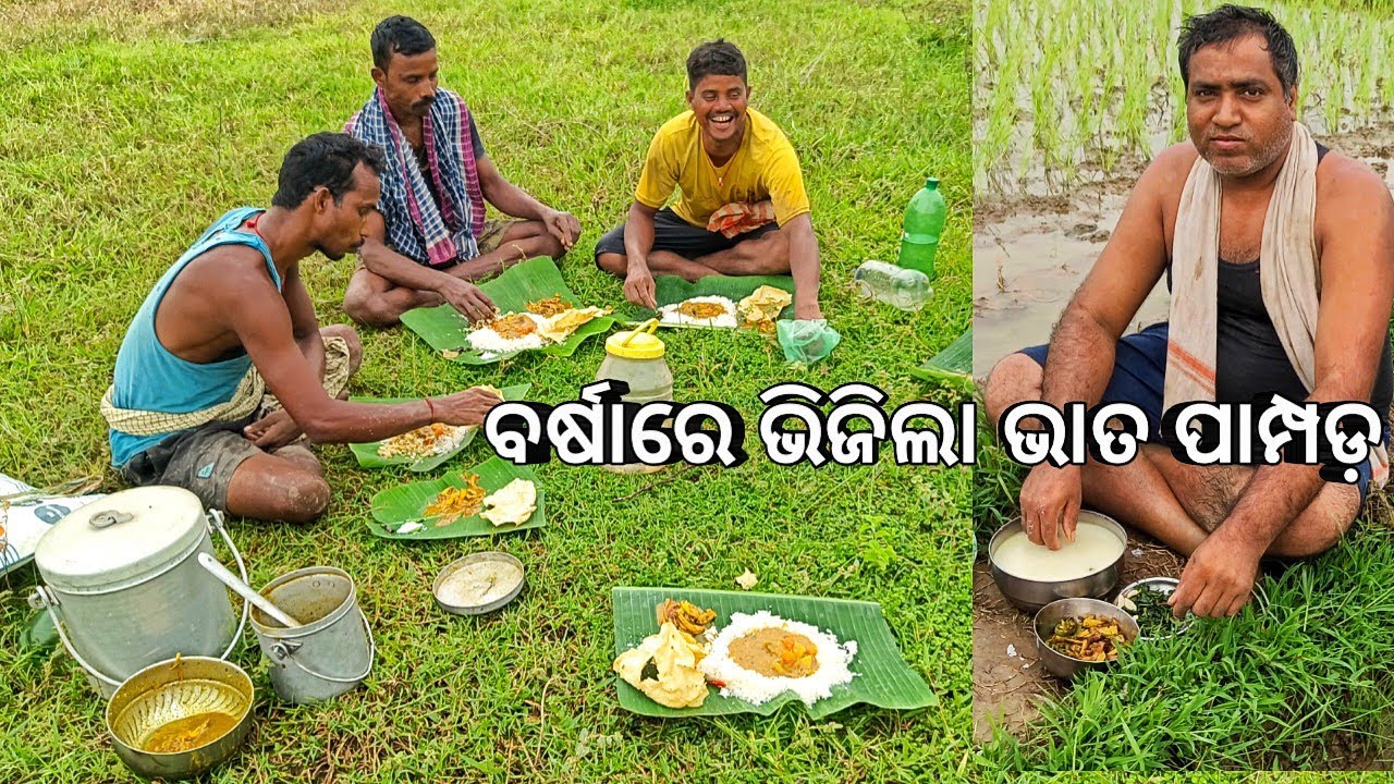 ବର୍ଷାରେ ଭିଜିଲା ଭାତ ପାମ୍ପଡ 😋 l Eating in rain l Gouranga Nayak Odia vlogs