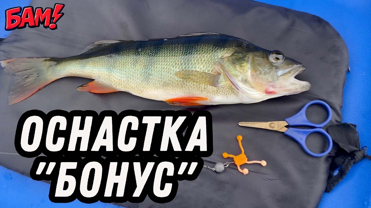 Запрещенная оснастка БОНУС Как сделать уловистую приманку на окуня и щуку