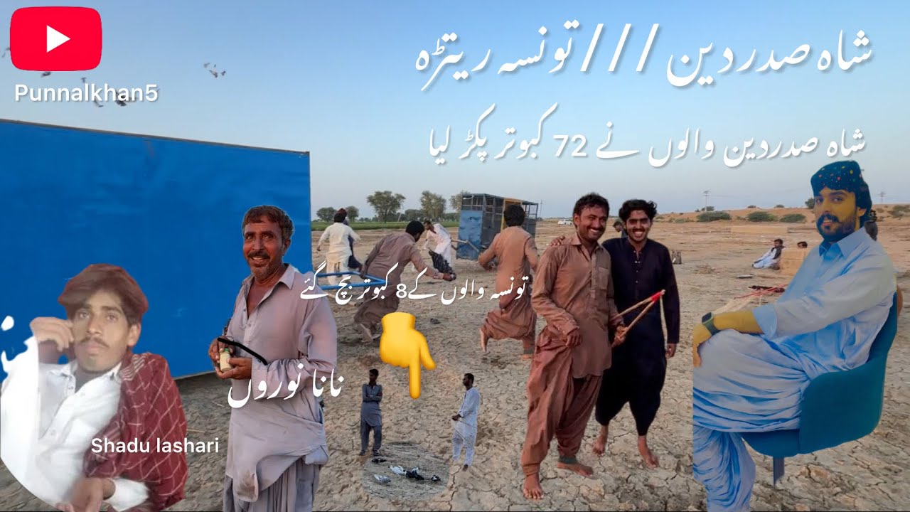 شاہ صدر دین بمقابلہ تونسہ ریتڑہ #pigeon #kabutar #fighterpigeon #viralvideo 