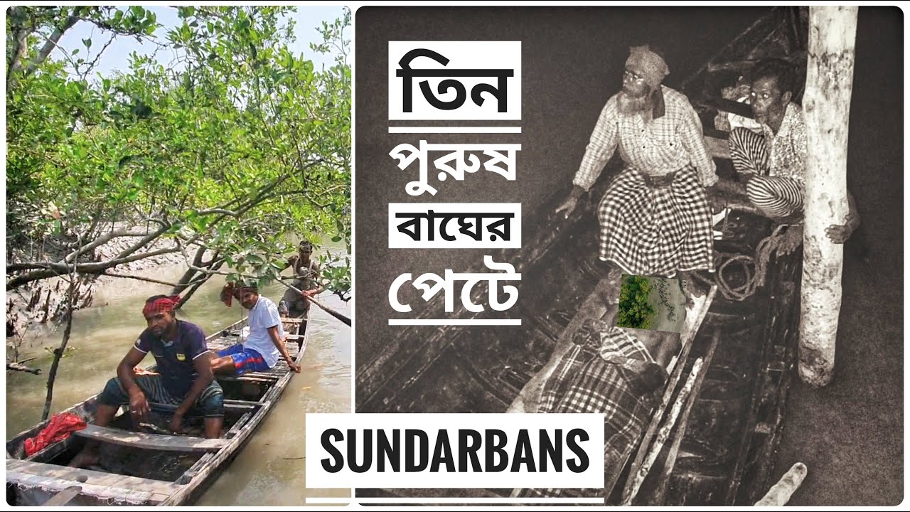 তিন পুরুষ বাঘের পেটে | বাঘ মানুষের লড়াই | সুন্দরবন | সিজন ৪ | পর্ব ০১ | Sundarbans | Mohsin ul Hakim