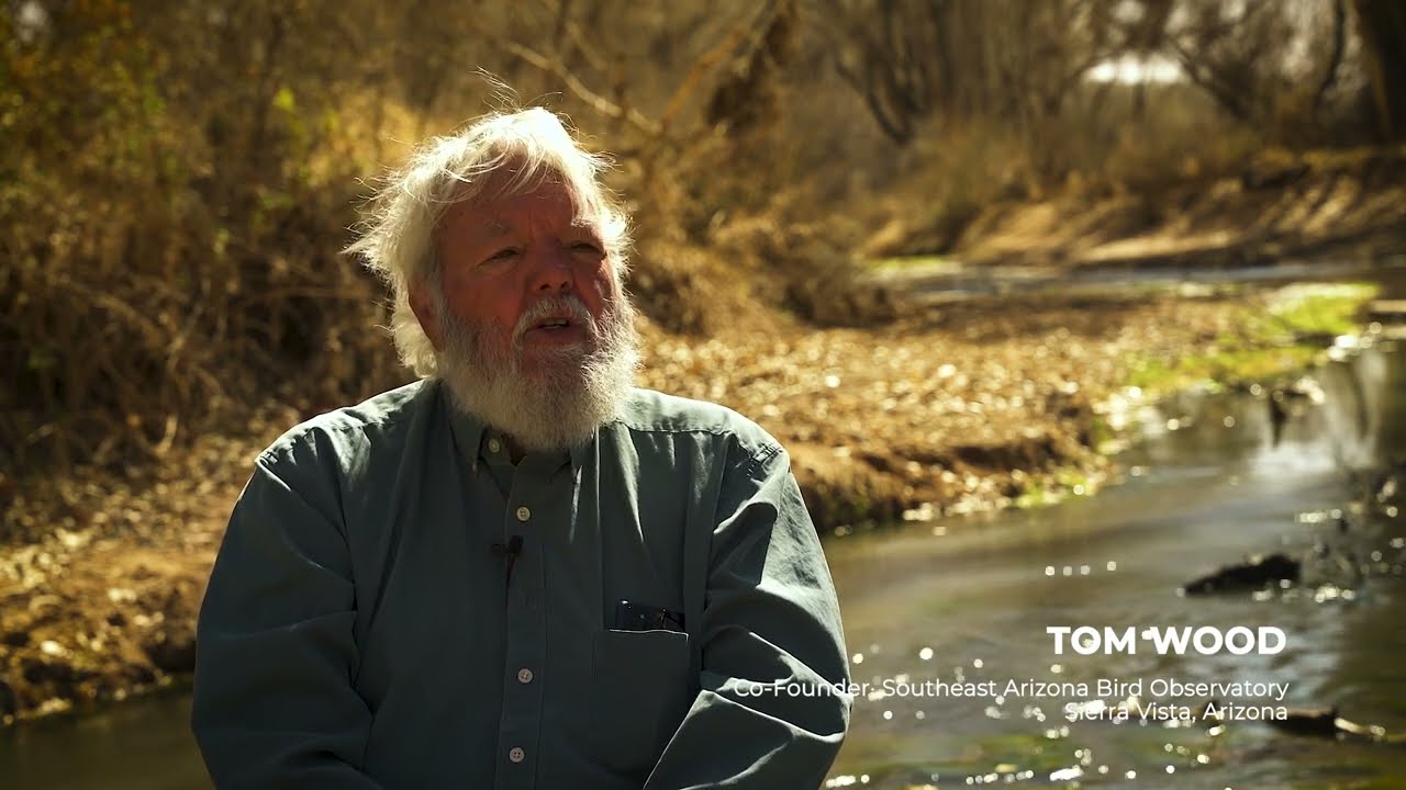Tom Wood (Founder, Southeastern Arizona Bird Observatory, Sierra Vista)