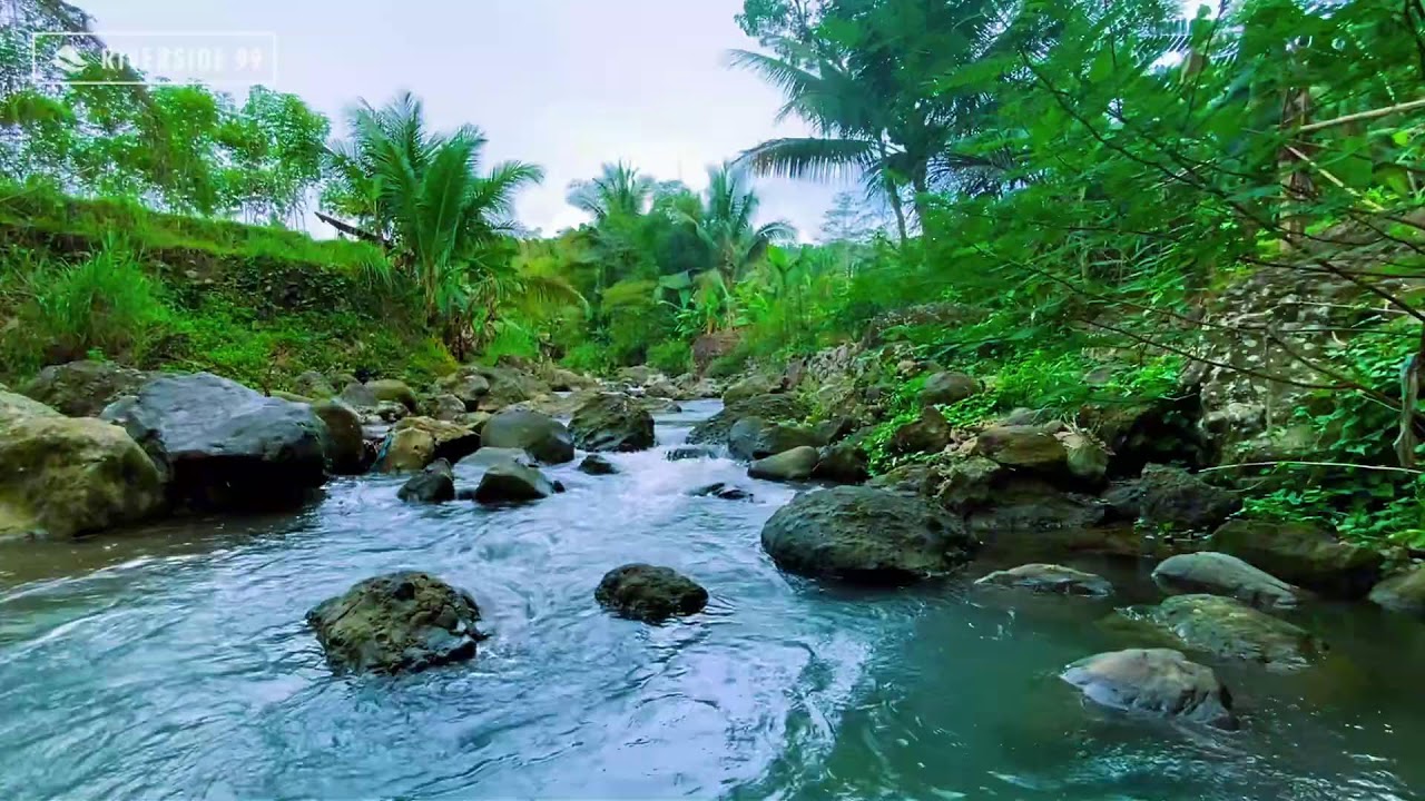 River Sounds for Sleeping 24/7 | Deep Relaxing Water Flow for Instant Night Sleep and relaxation #4