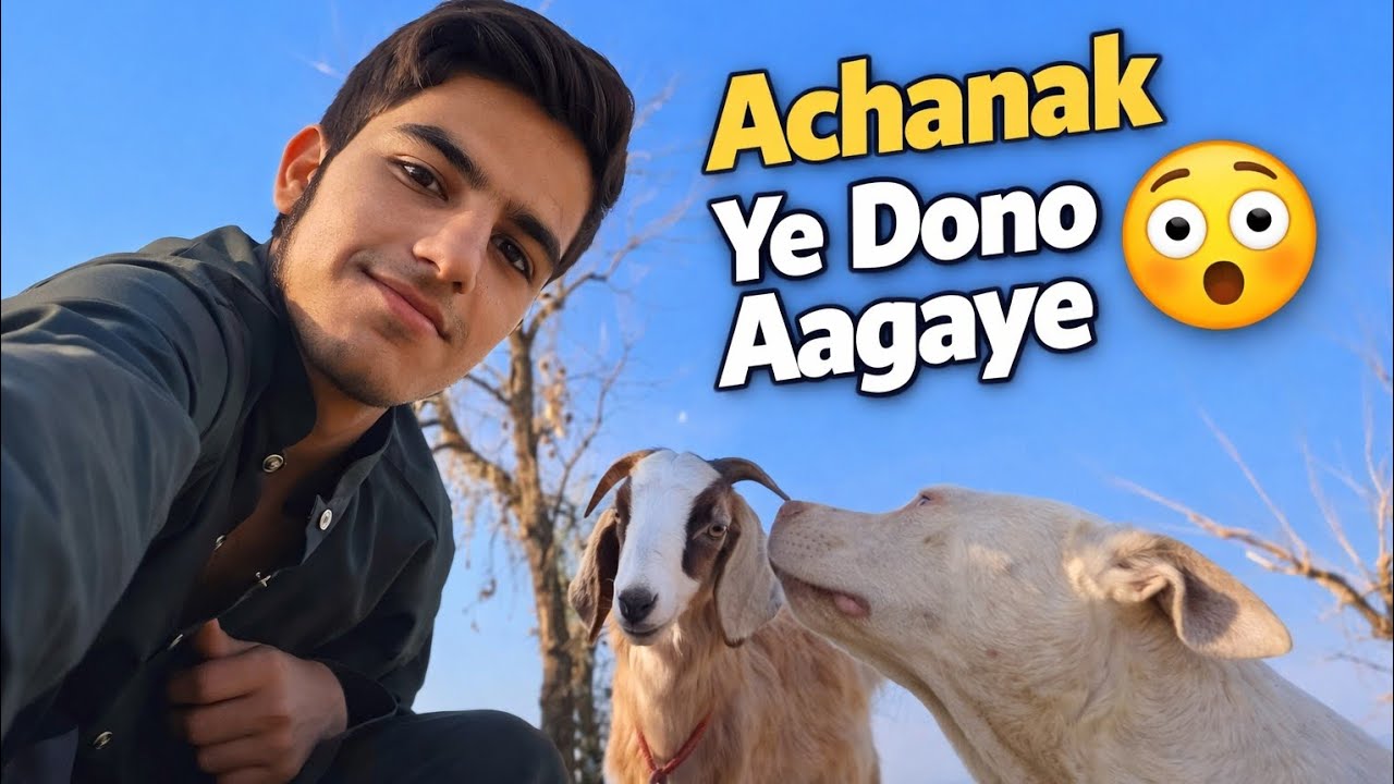 Ghar Ke Bahar Baitha Tha Bakri Aur DogAagaye'foryoupage