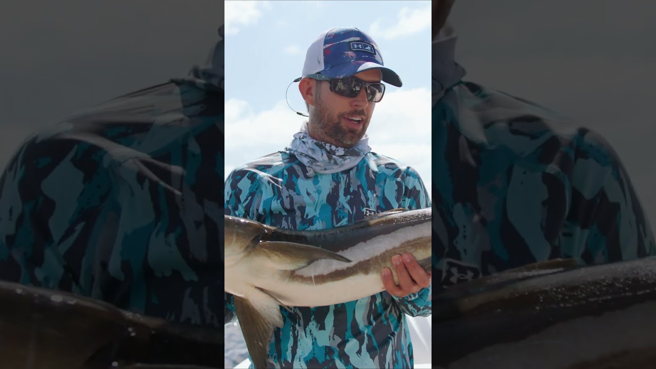 Watch BlacktipH crank like a madman while a big shark is literally ONE SECOND from eating his fish