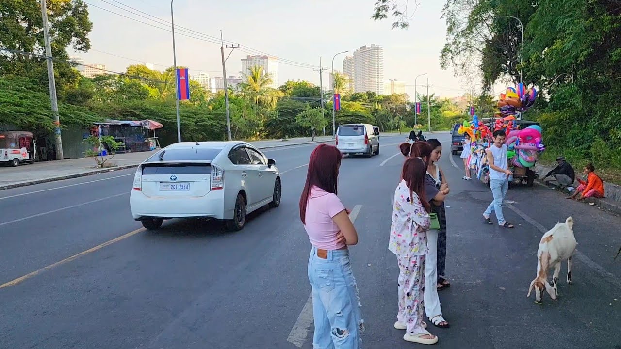 Animal lovers around Independence hotel areas!  
