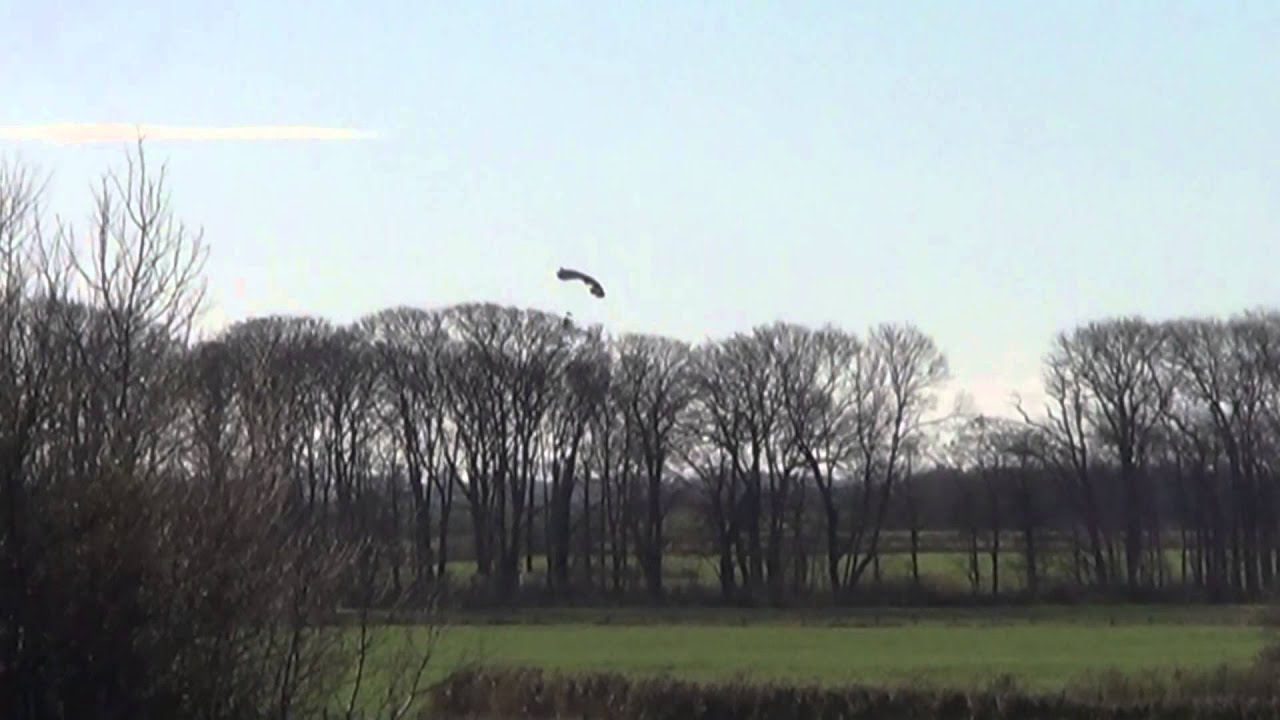 Skydiving Over Wyre-The black Nights parachute school of Cockerham