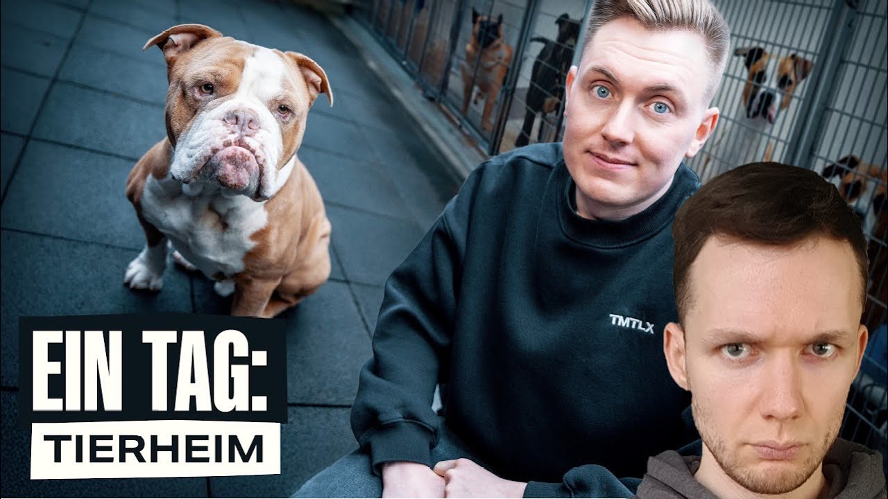 1 Tag im Tierheim - So ist es wirklich - tomatolix