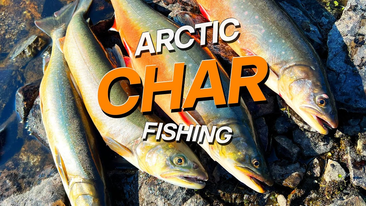 Arctic CHAR Fishing in Northern Norway