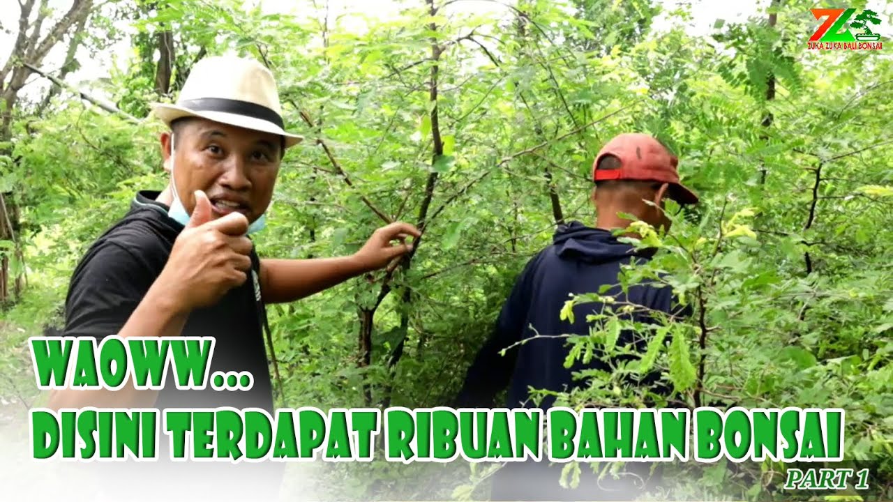 RAJANYA BAHAN 