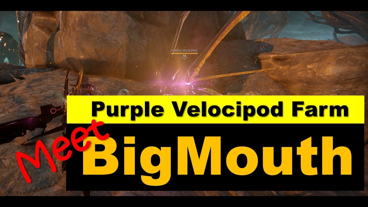 Purple Velocipod Farm | Helminth Segment Build & Installation Guide | Warframe Heart of Deimos
