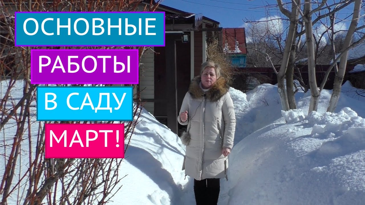 НЕ ЗАБУДЬТЕ СДЕЛАТЬ ЭТИ РАБОТЫ В САДУ В МАРТЕ!