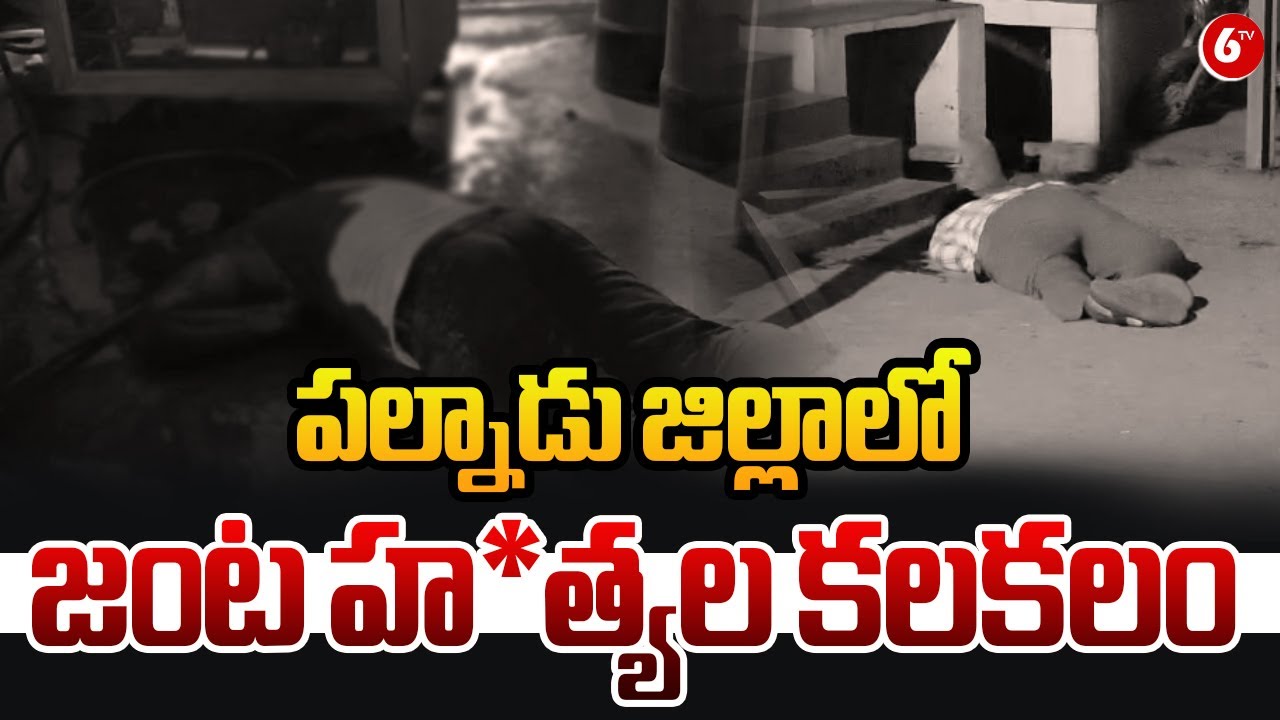 పల్నాడు జిల్లాలో జంట హ*త్యల కలకలం || Palnadu District Latest News || 6TV
