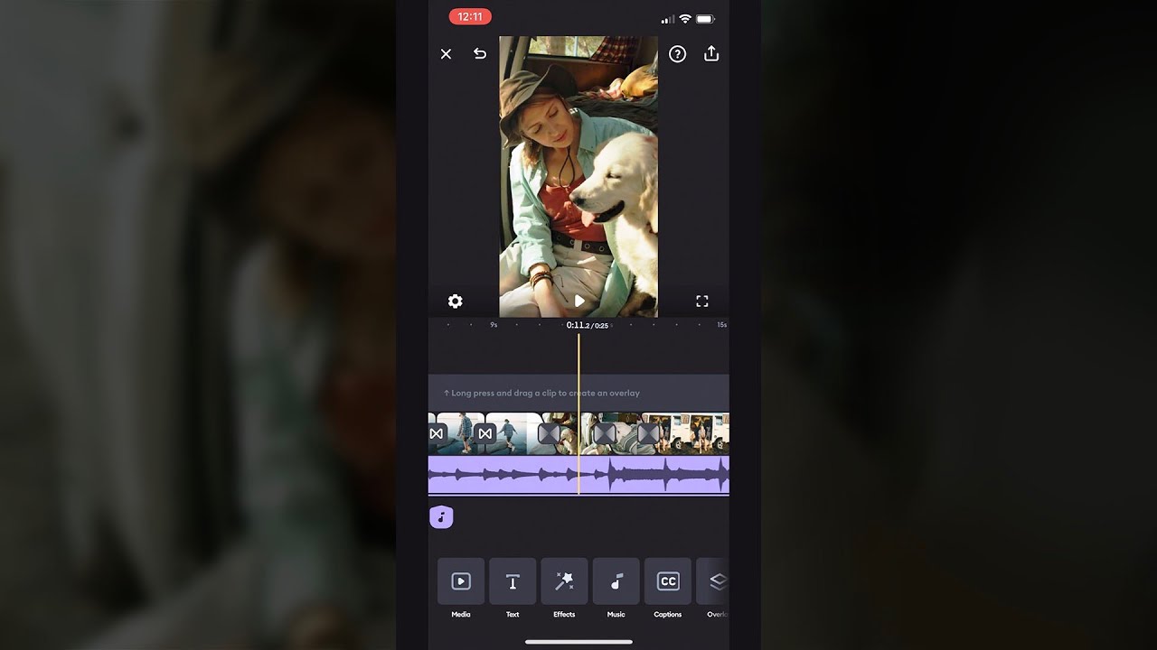 Splice: The Basics