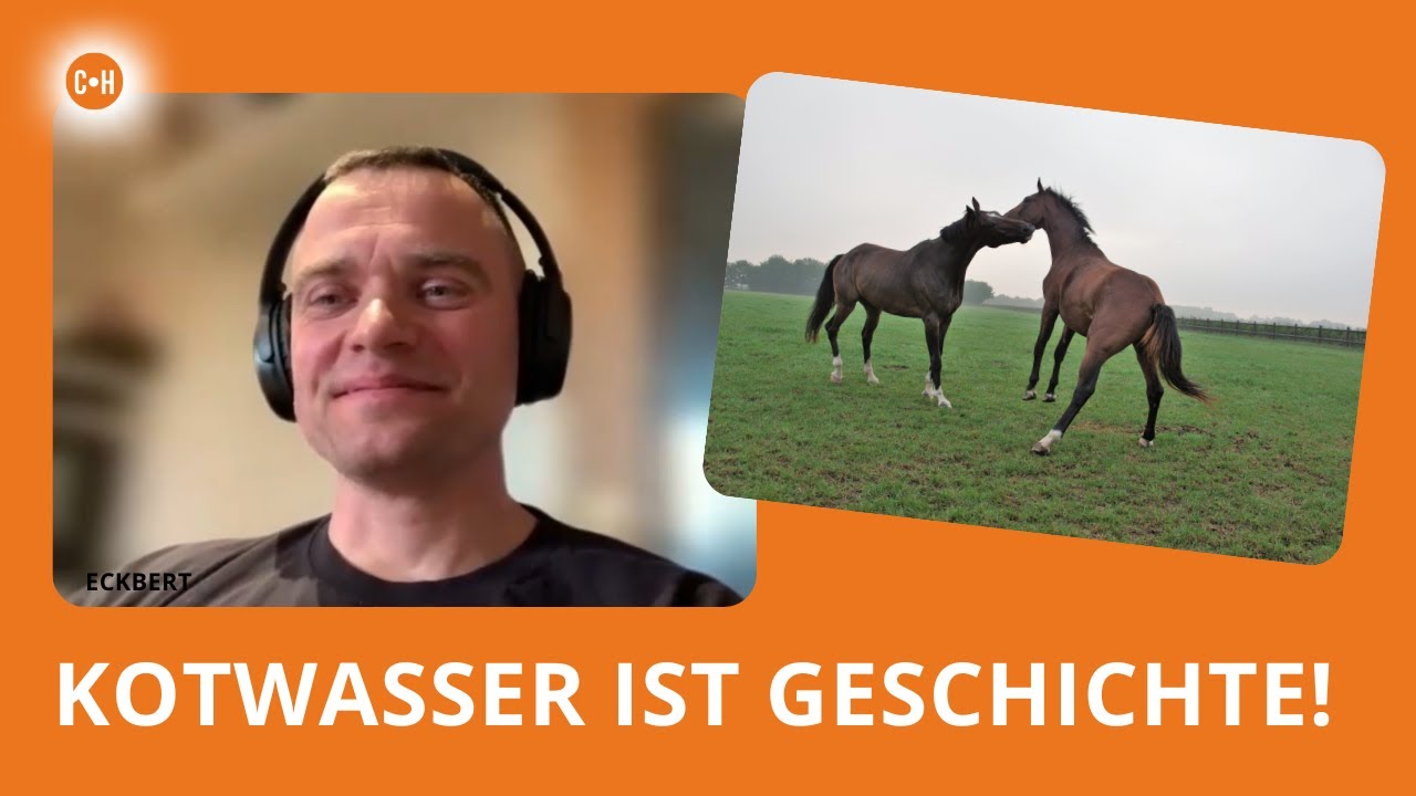 Husten, Panik, Kotwasser – wie meine Pferde mir endlich sagen konnten, was los ist