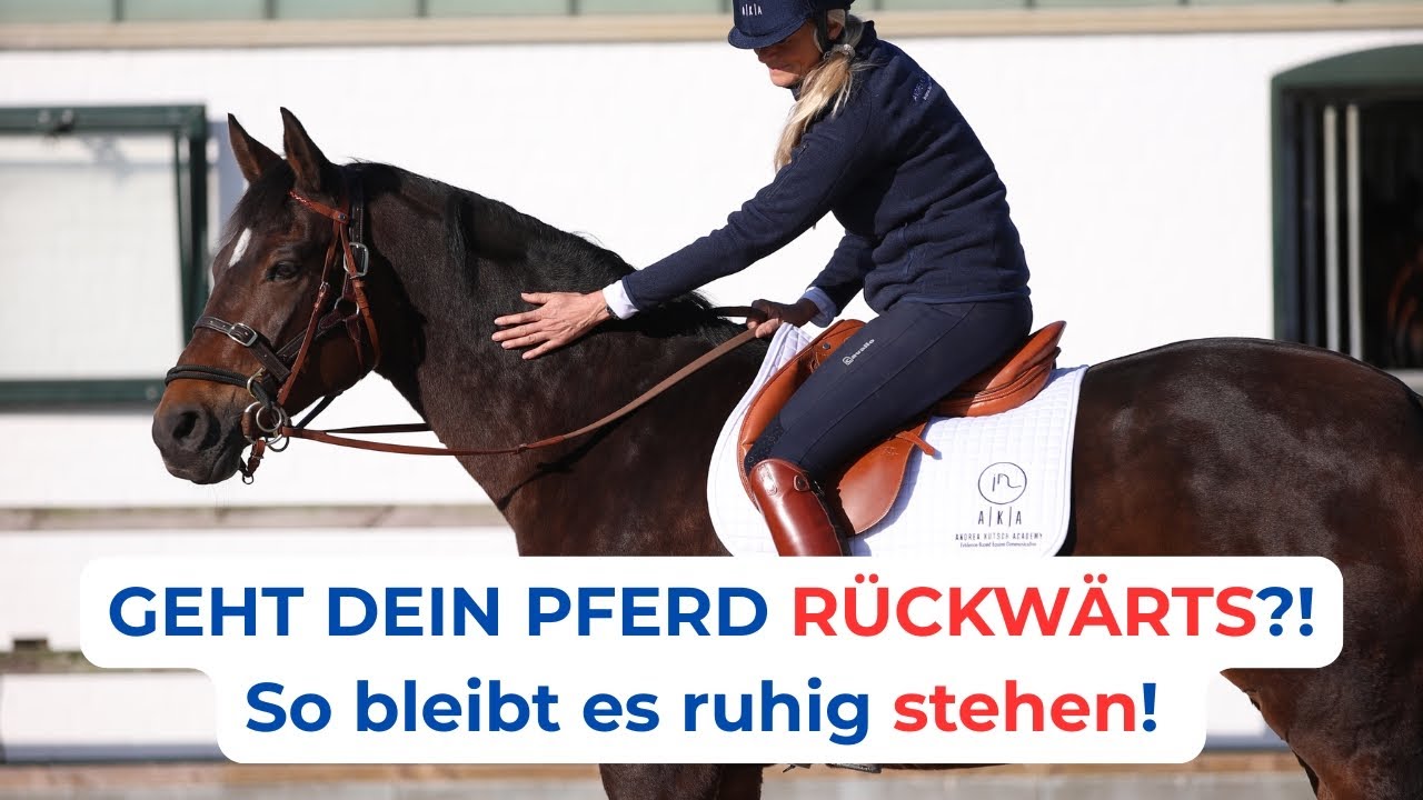 Pferd geht rückwärts beim Aufsteigen? So trainierst Du ruhiges Stehen. (2/3)