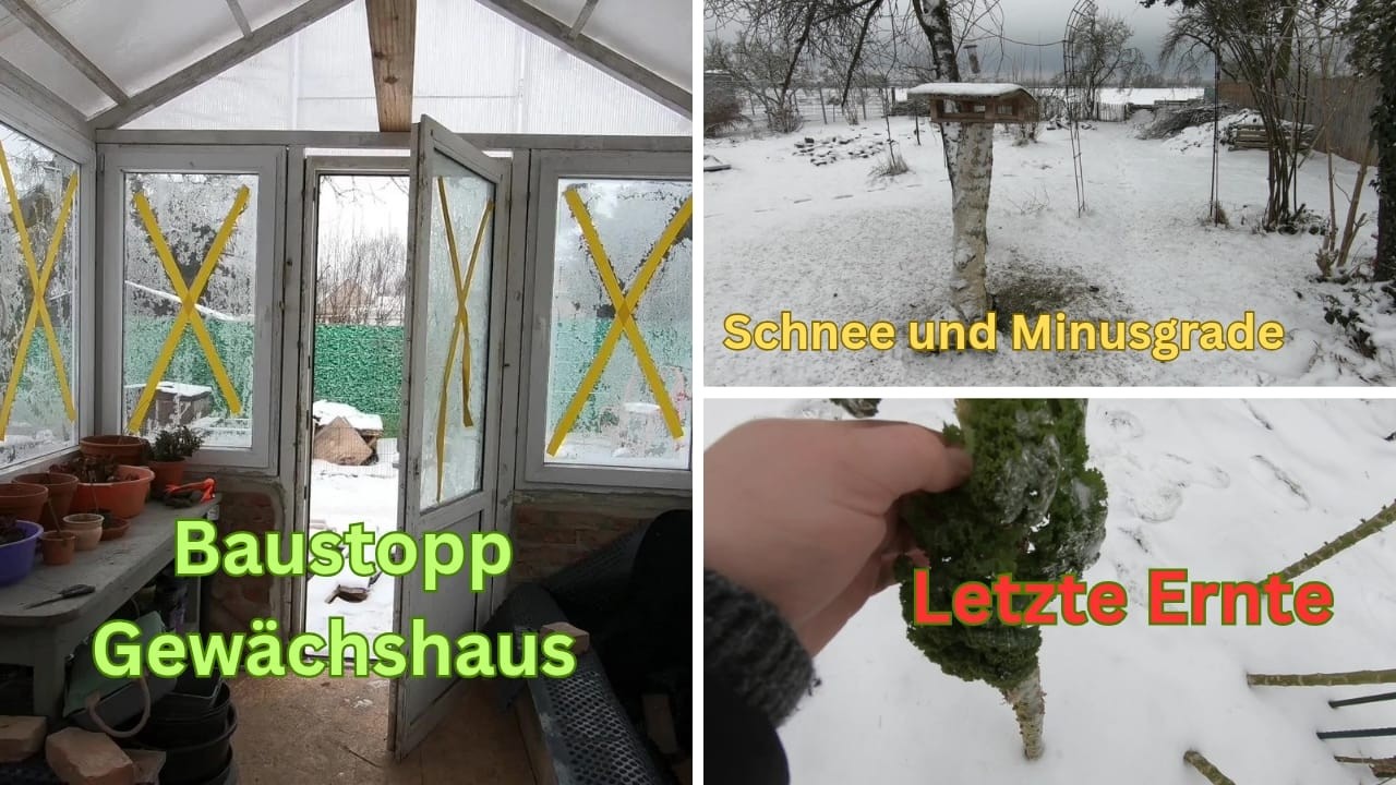 Dauerfrost durchkreuzt Pläne