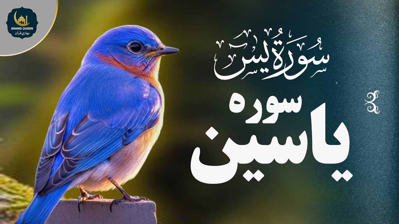 قران کریم سوره یس (ياسین) همراه با ترجمه فارسی | بهاری قرآن - Bahari Quran 