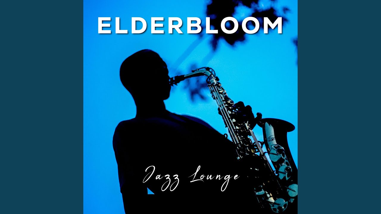 Harlem Winter Windows