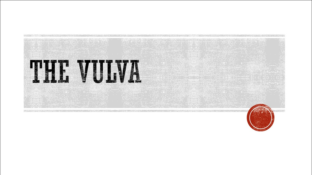 The Vulva - Anatomy & Physiology