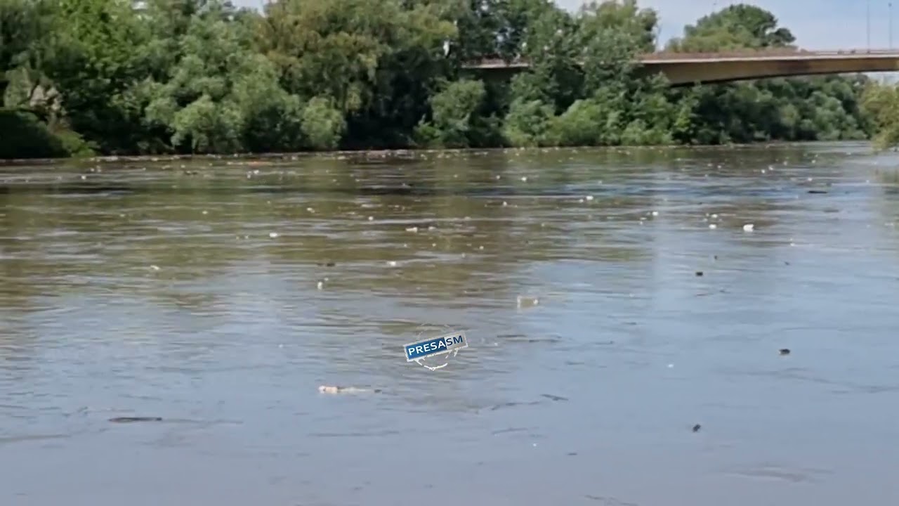 Viitură de deseuri pe Somes, in Satu Mare