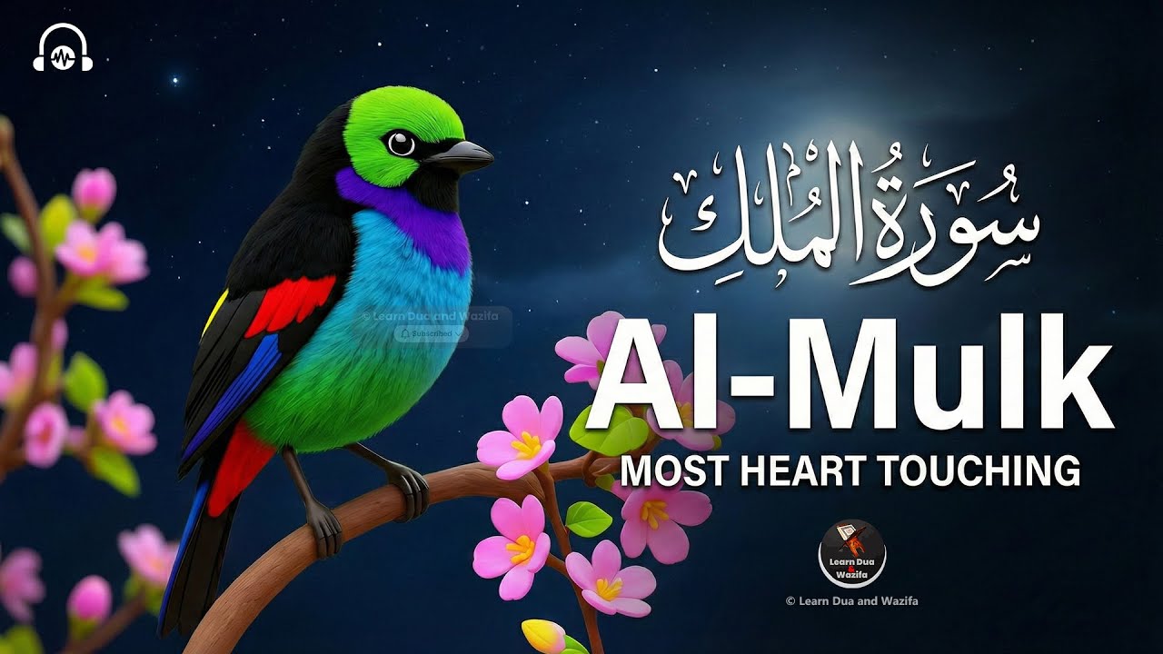 Surah Al-Mulk سورة الملك | Beautiful Night Recitation for Serenity and Stillness #surahmulk