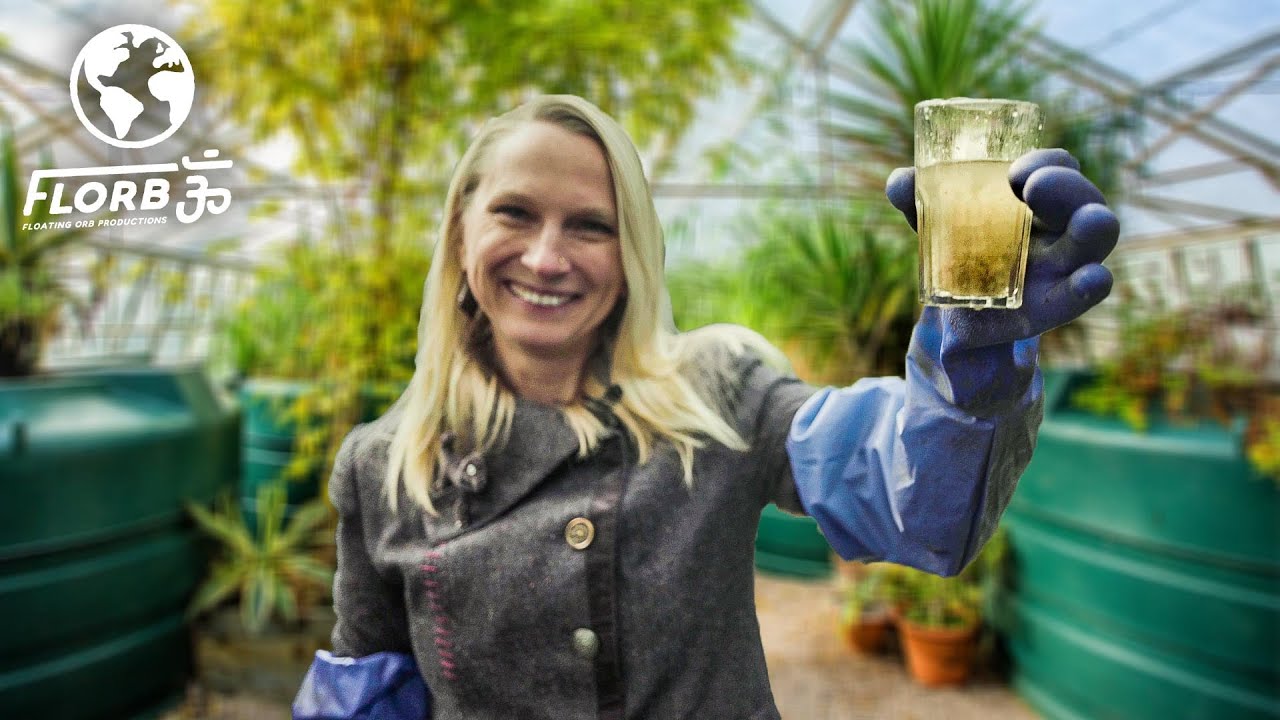 This Sustainable Greenhouse Cleans Human Waste out of Water
