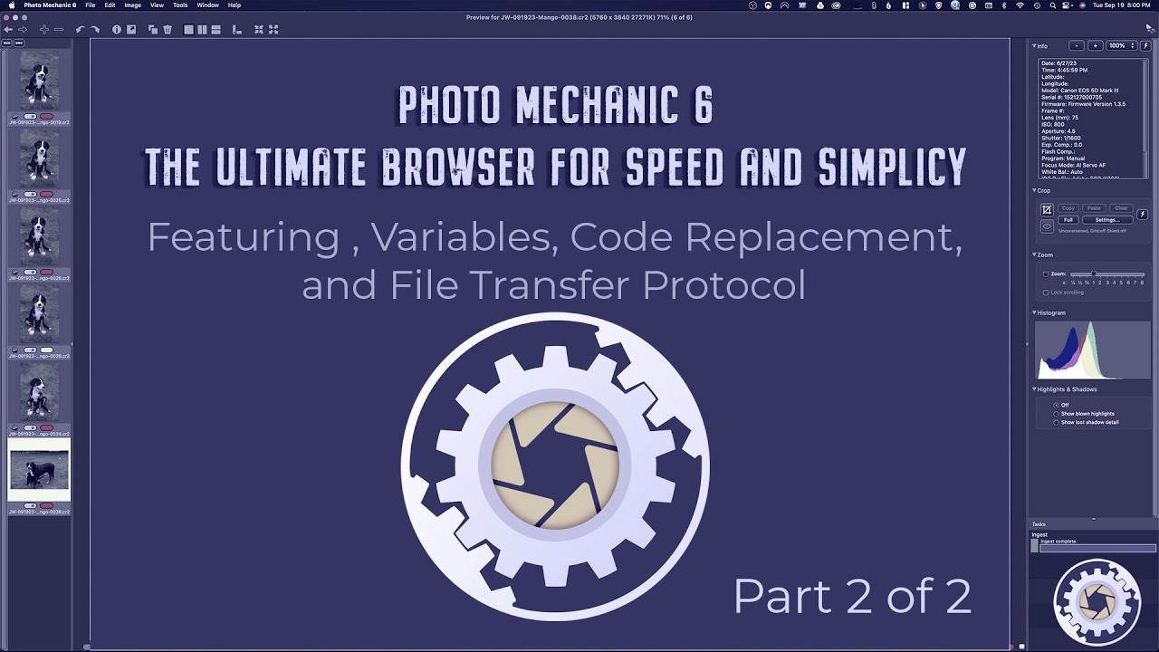 Photo Mechanic 6 Master the Ultimate Browser Variables, and Code Replacement.