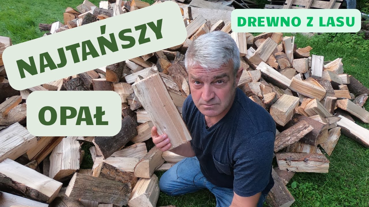 Najtańszy opał czyli jak i po ile pozyskać drewno.