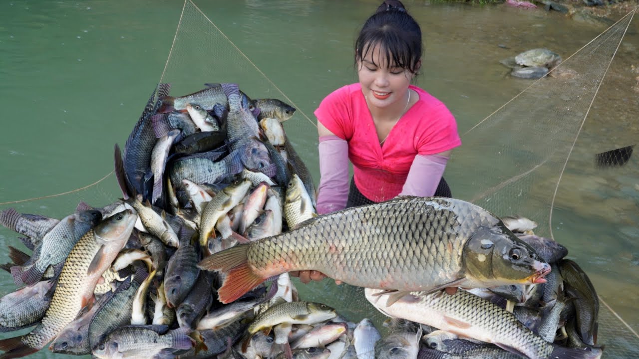Caught a lot of huge carp in Toan's parents' pond | Em Tên Toan