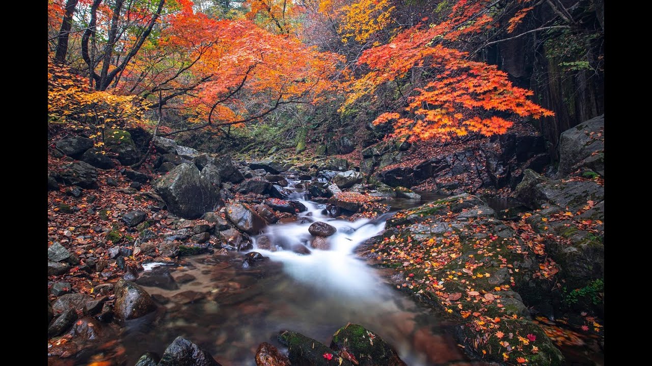 Perfektes Timing‼️‼️Worauf wartest du noch? Zeige deine Individualität, sie wird hier gebraucht☀️