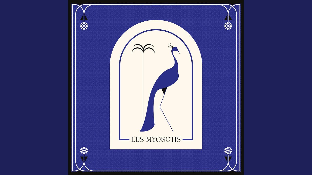 Les Myosotis