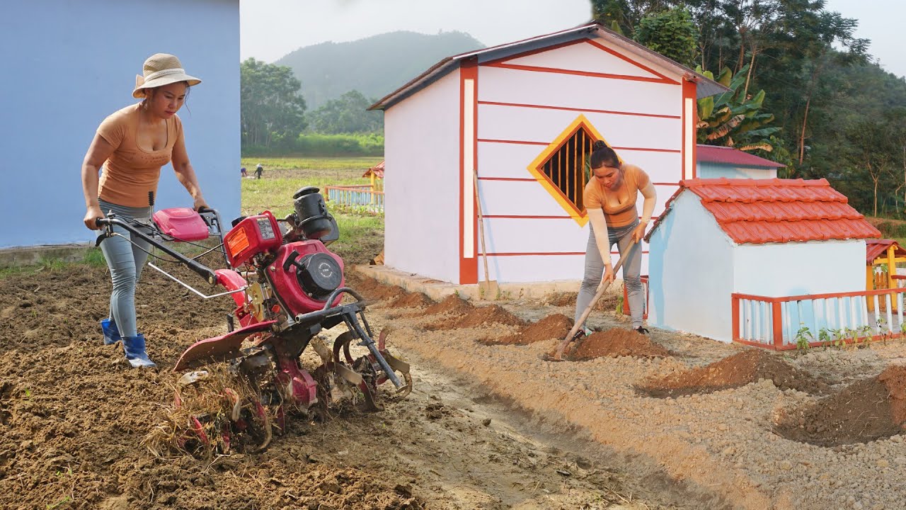 Use plowing machine loosen the soil, raise beds and plant crops, Build the farm daily