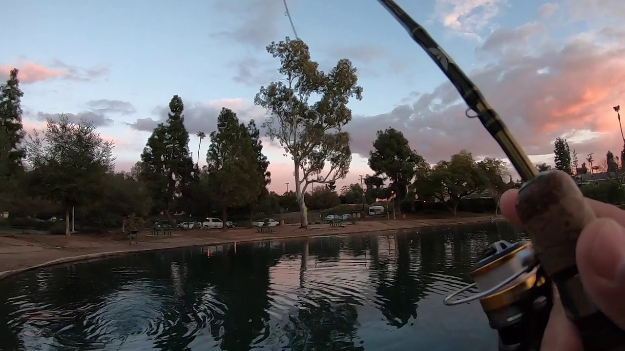 Fishing For Trout And Bass at Laguna Lake