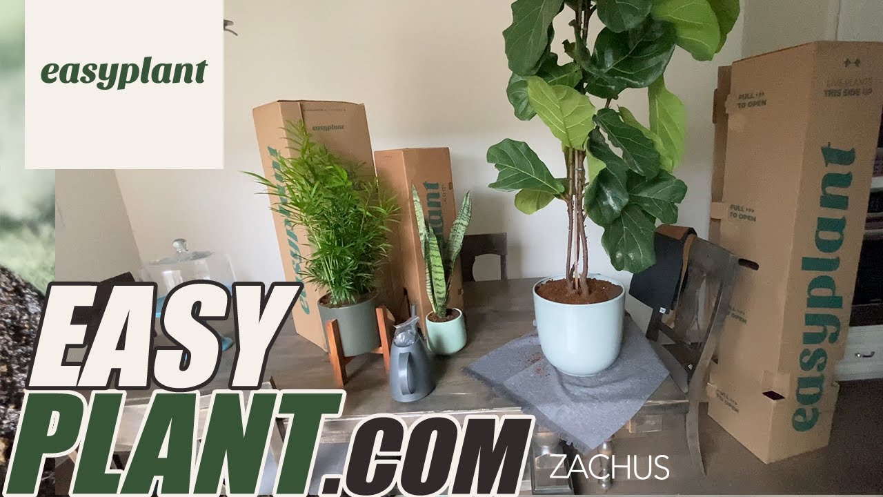 EasyPlant.com Honest Review (SEE IT ALL HERE)