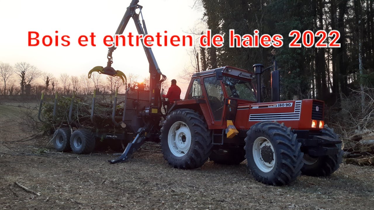 Abattage, débardage, transport et nettoyage des bords de bois dans le pâturage 2022