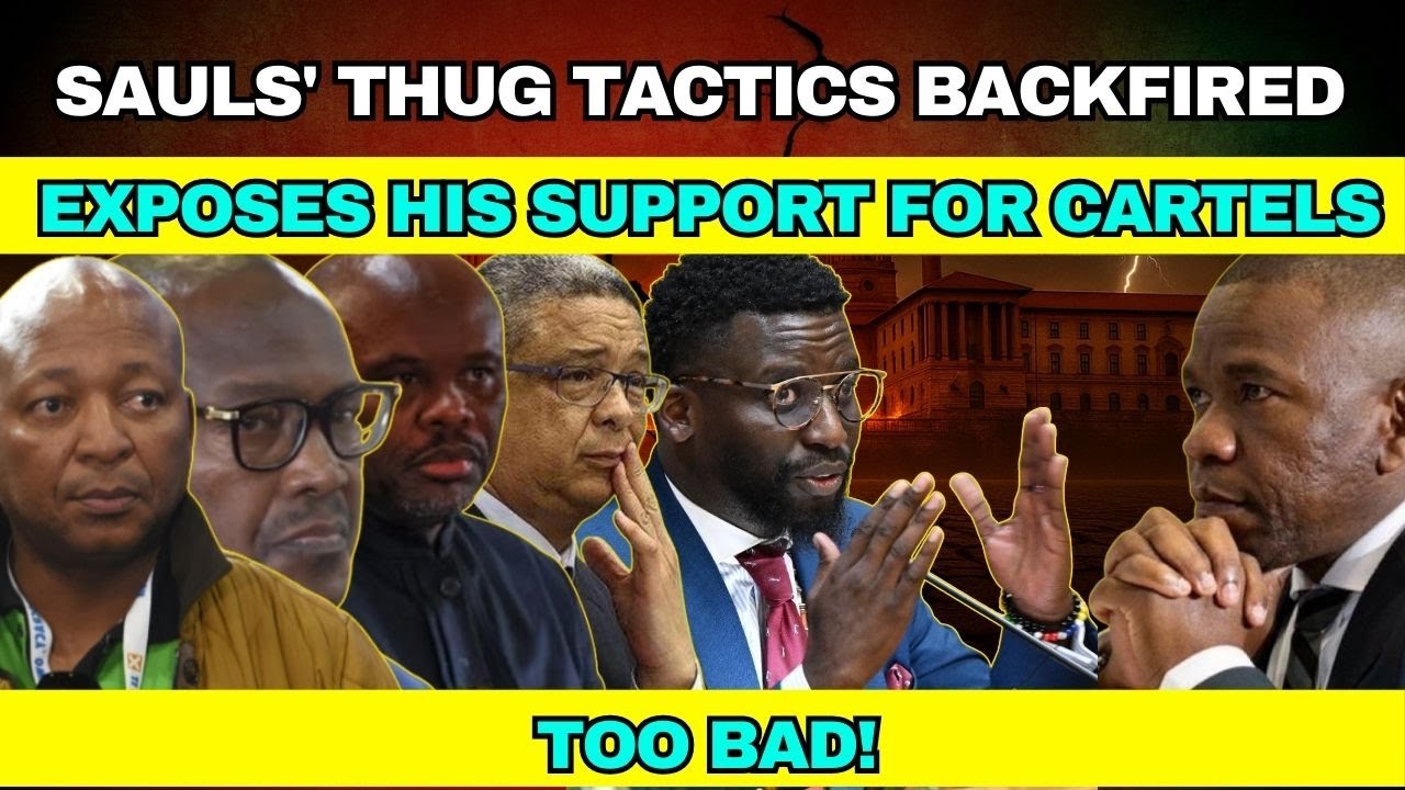 Ashley Sauls' Tactics BACKFIRED -Badly EXPOSES His Support for Criminals!