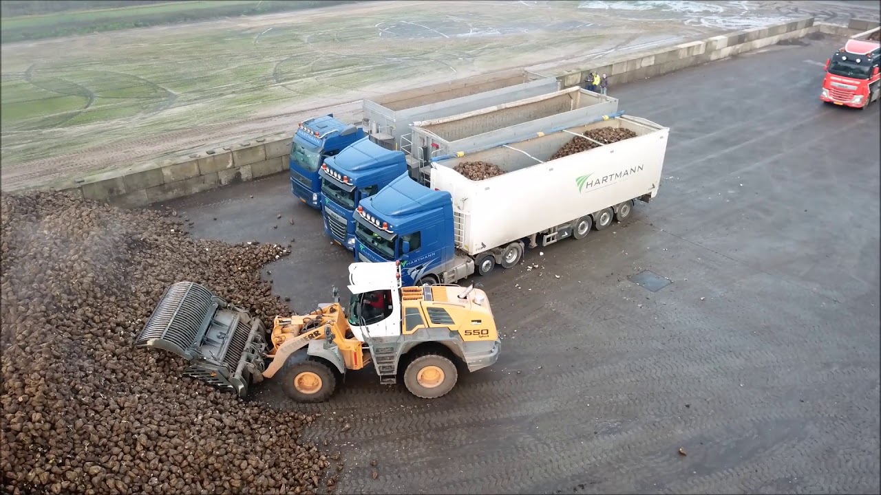 Bieten campange  Hartmann 2017