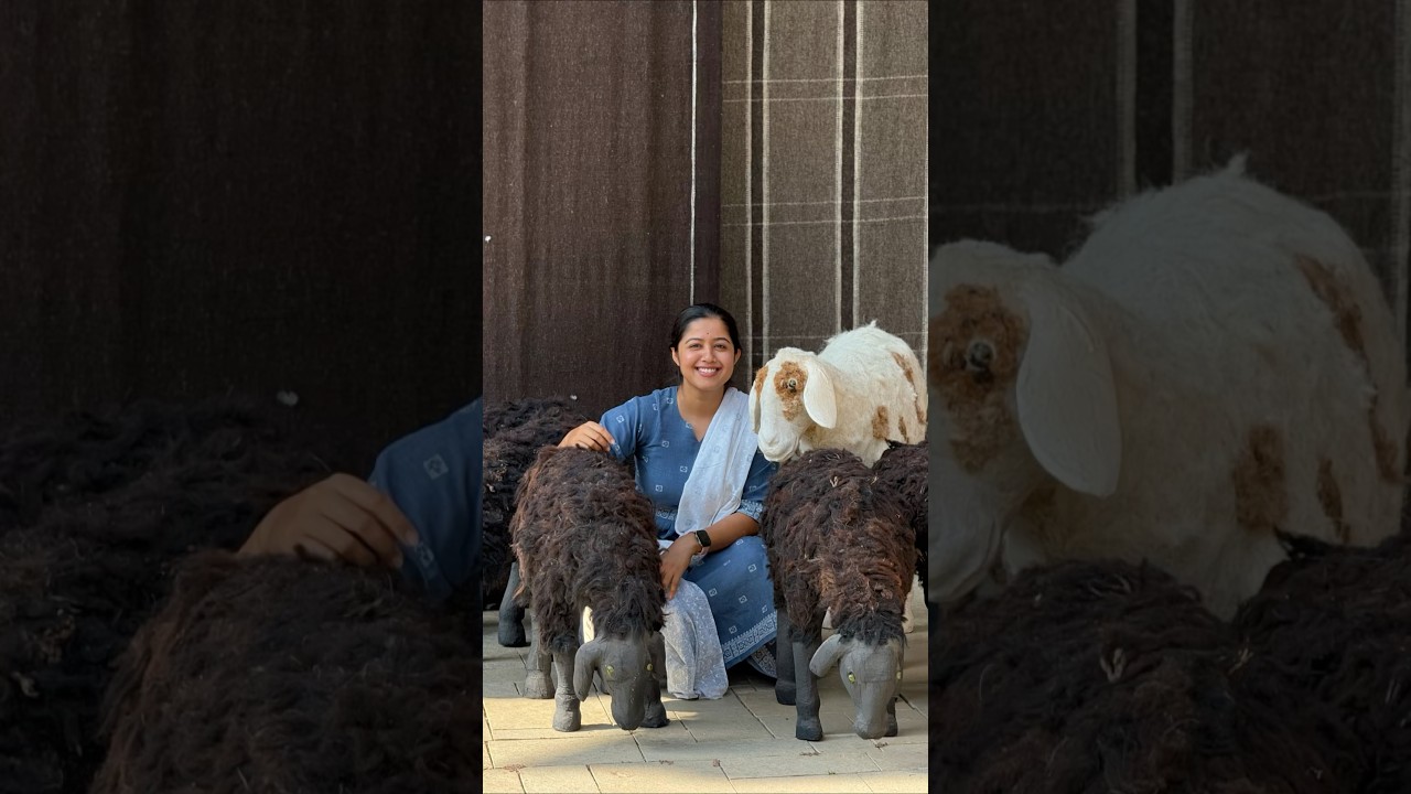 Mini Vlog 236 #sheep #exhibition #pune #art #culture #swanandisardesai