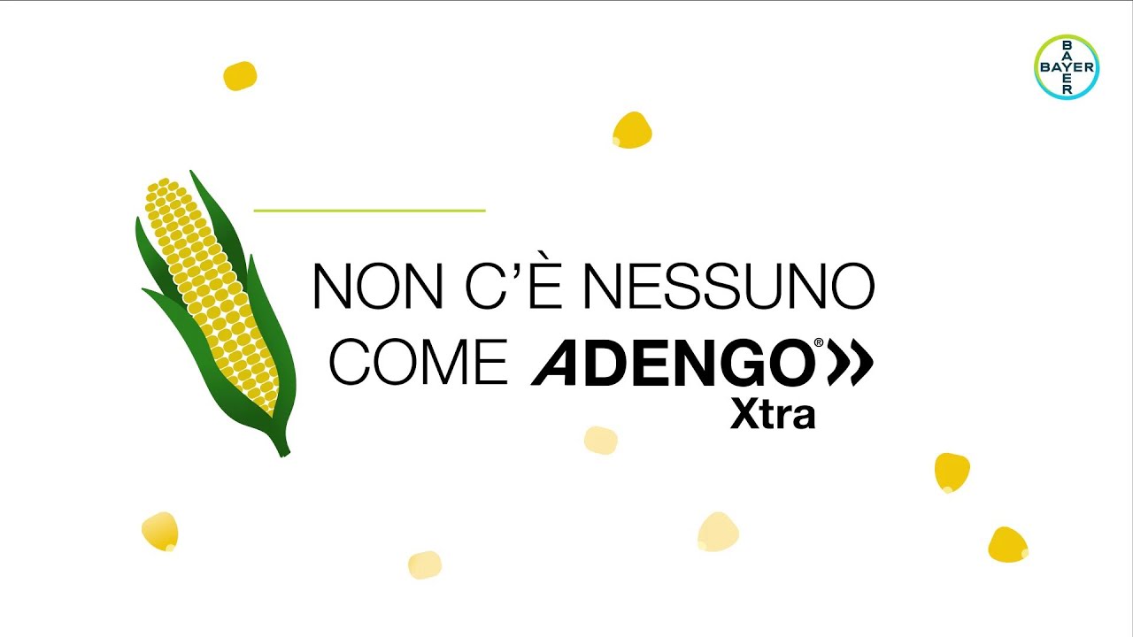 Non c'è nessuno come Adengo Xtra