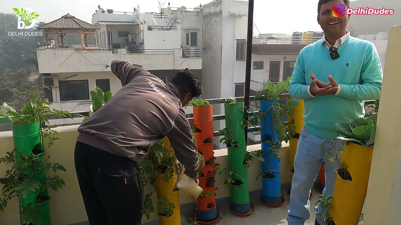 Liquid Fertilizer -  Veg Roof Vegetable Gardening   Video Coverage 9