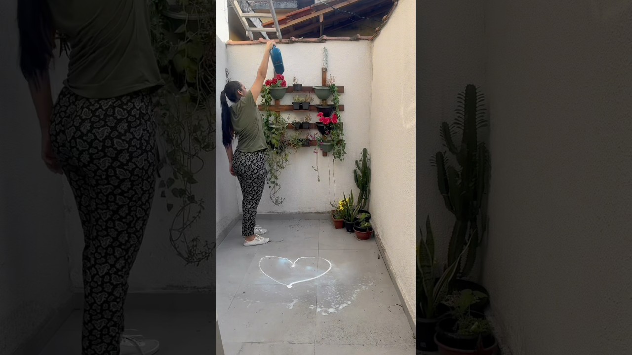 Ganhei uma planta 🪴 #donadecasablogueira #donadecasa #limpeza