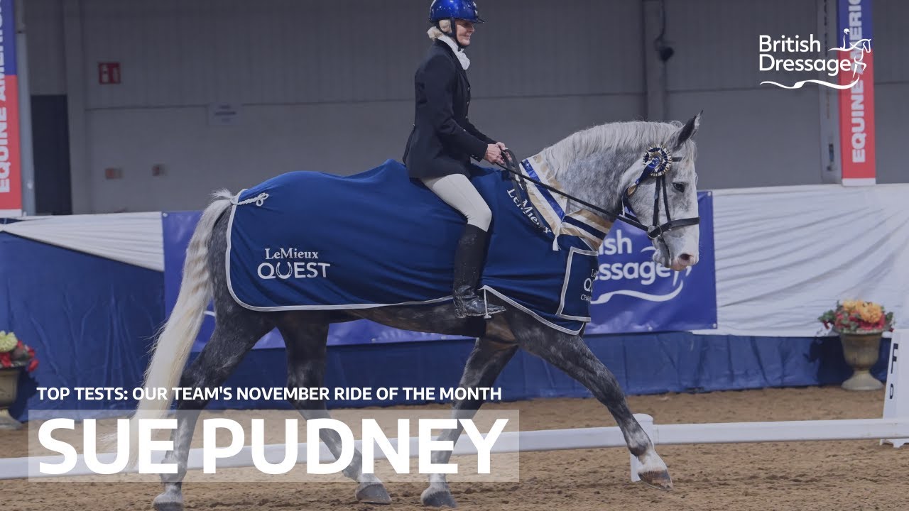 Top Tests: Our team's November ride of the month