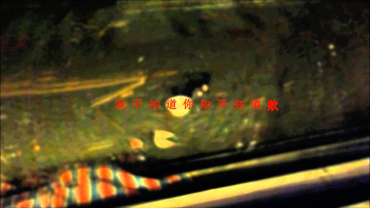 烏鴉地板Corvus On the Ground - 我不知道你知不知道欸