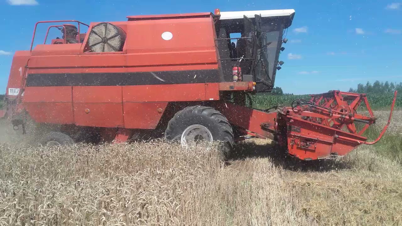 Bizon Bs Z110 Żniwa Podkarpacie