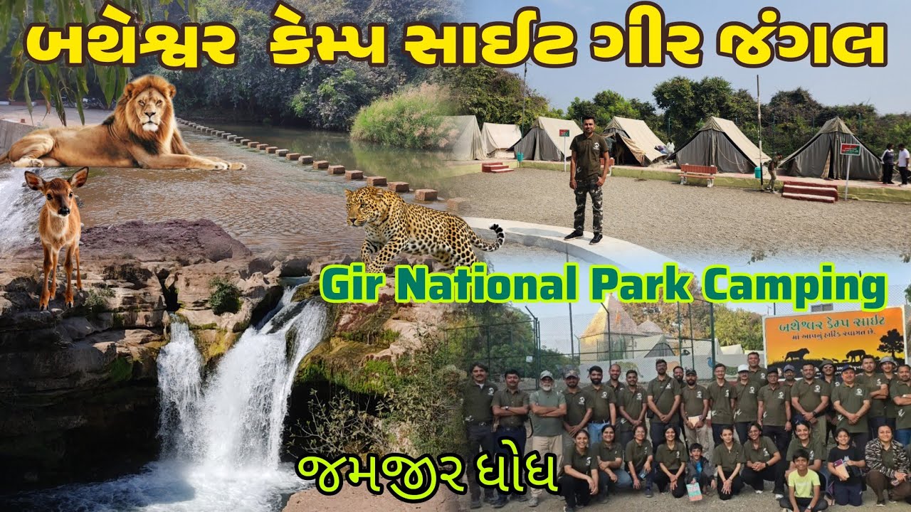 બથેશ્વર કેમ્પ સાઈટ ગીર🦁જંગલ Batheswar Mahadev Camp SiteGir Jungle  jamvala Camping  Adventure Night